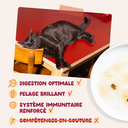 Morceaux en sauce en sachets  Délices de la ferme – Multipack (12 sachets 85 g) - Edgard & Cooper