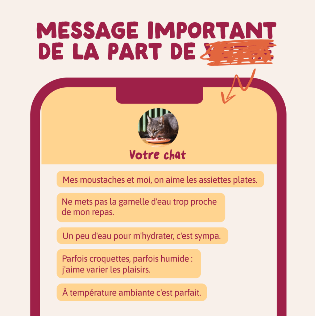 Morceaux en sauce en sachets  Délices de la ferme – Multipack (12 sachets 85 g) - Edgard & Cooper