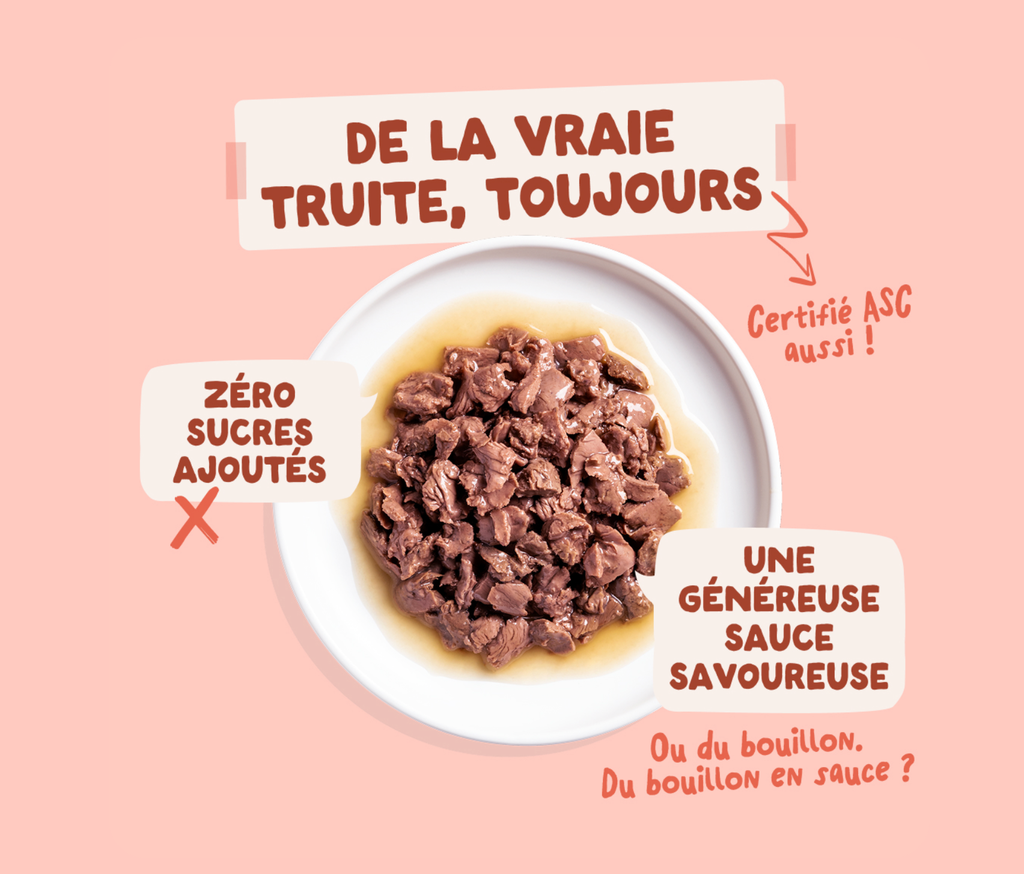 Morceaux en sauce en sachet Truite poulet (1 sachet 85 g) - Edgard & Cooper