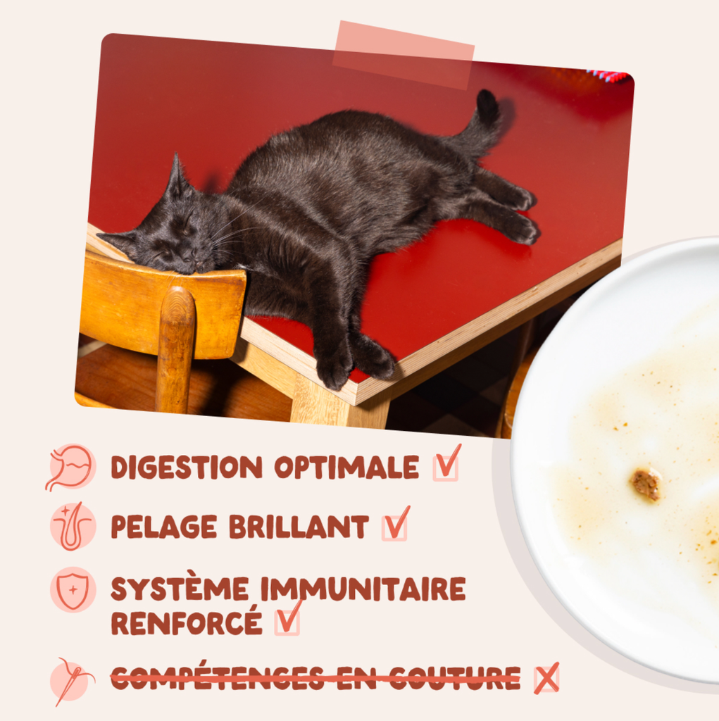 Morceaux en sauce en sachet Truite poulet (1 sachet 85 g) - Edgard & Cooper
