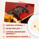 Morceaux en sauce en sachet Truite poulet (1 sachet 85 g) - Edgard & Cooper