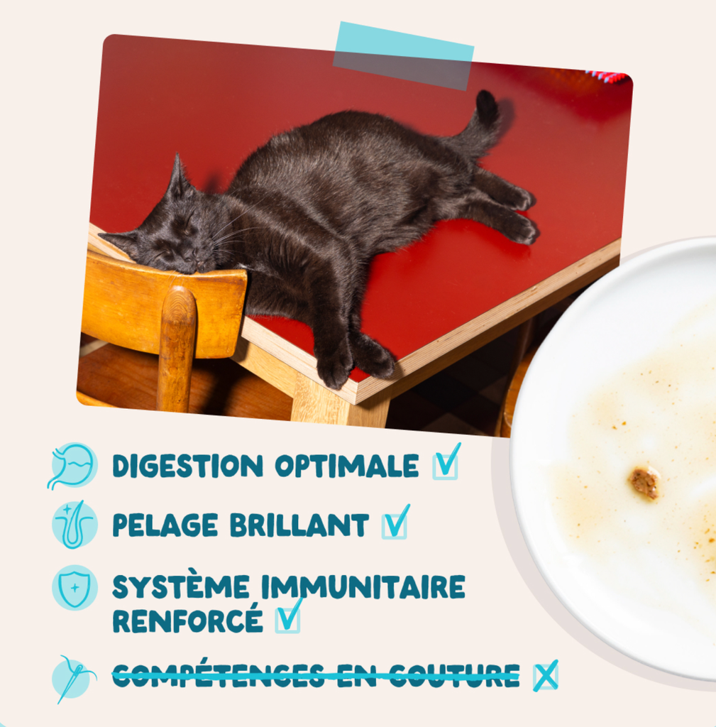 Morceaux en sauce en sachet Thon poulet 85g  (1 sachet 85 g) - Edgard & Cooper