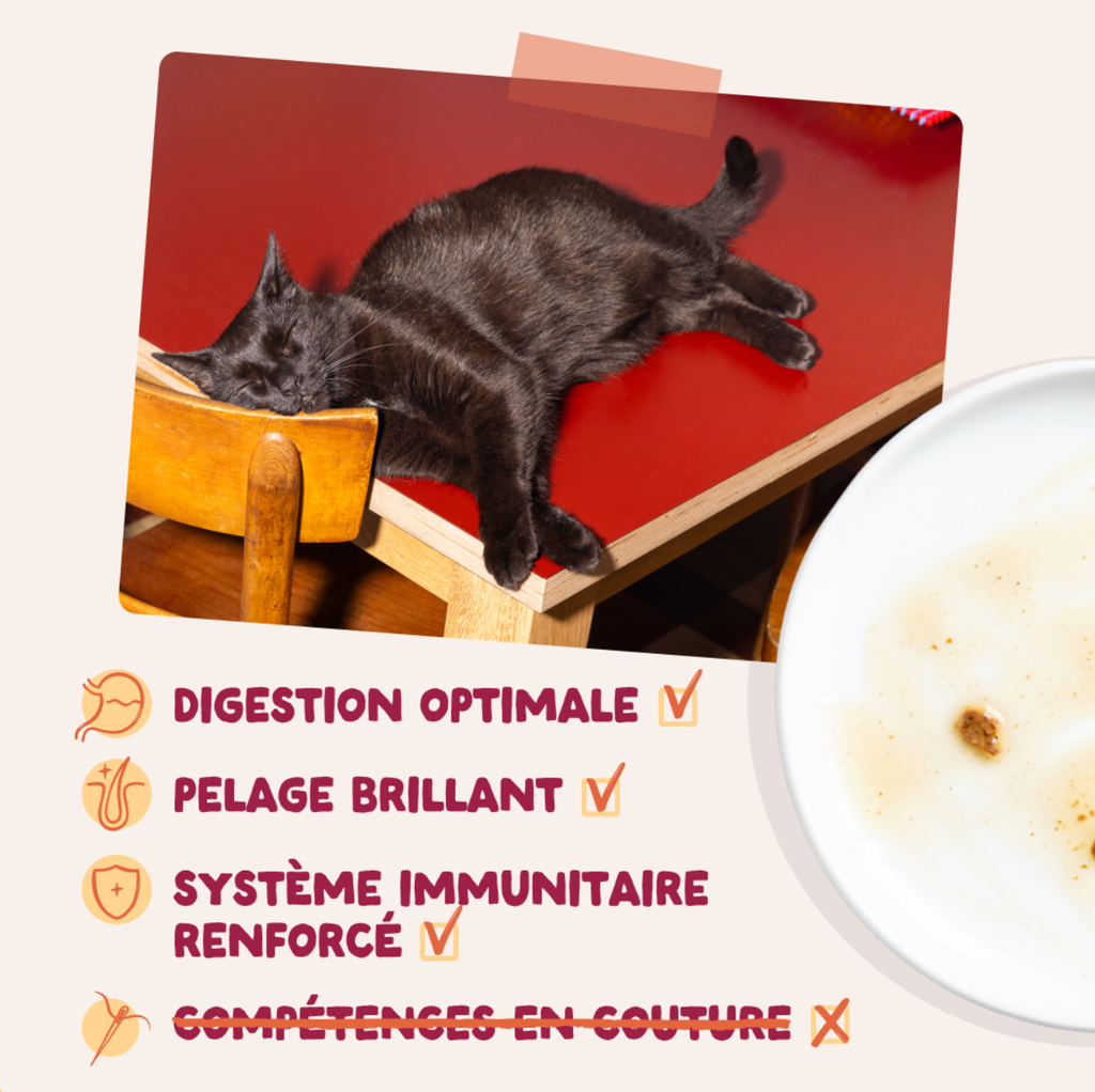 Morceaux en sauce en sachet Poulet (1 sachet 85 g) - Edgard & Cooper