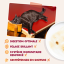 Morceaux en sauce en sachet Poulet (1 sachet 85 g) - Edgard & Cooper