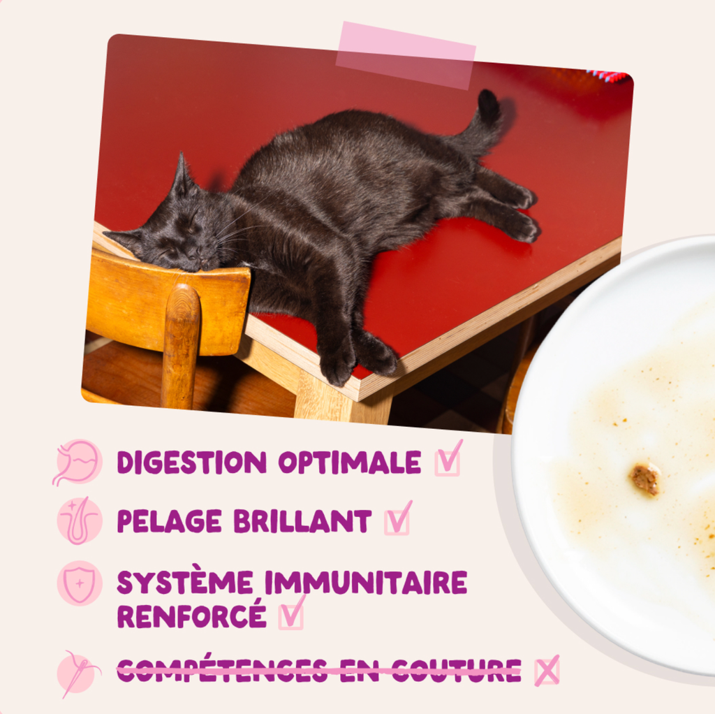 Morceaux en sauce en sachet Canard poulet pour chaton (1 sachet 85 g) - Edgard & Cooper