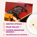 Morceaux en sauce en sachet Canard poulet pour chaton (1 sachet 85 g) - Edgard & Cooper