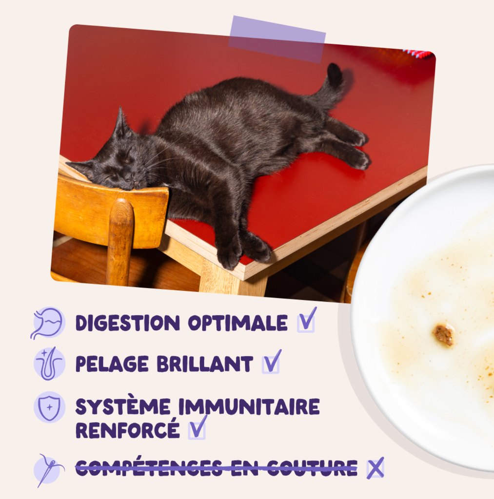 Morceaux en sauce en sachet Canard dinde (1 sachet 85 g) - Edgard & Cooper