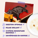 Morceaux en sauce en sachet Canard dinde (1 sachet 85 g) - Edgard & Cooper