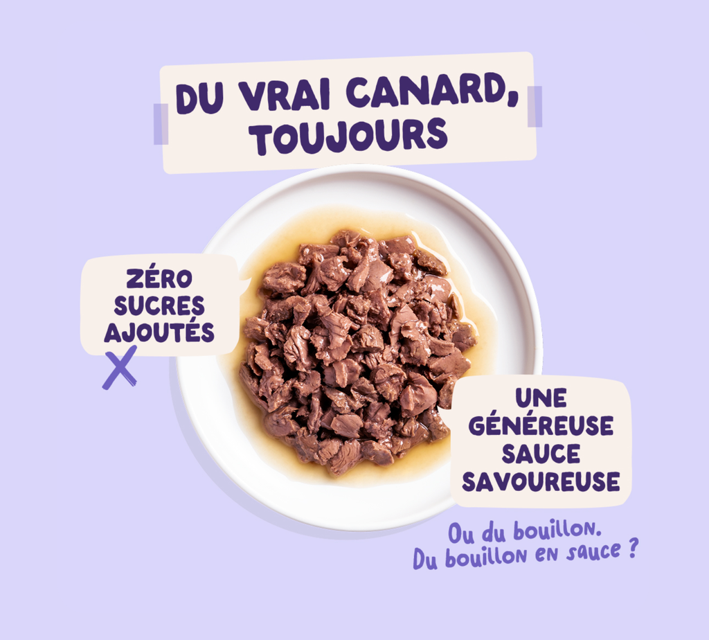 Morceaux en sauce en sachet Canard dinde (1 sachet 85 g) - Edgard & Cooper