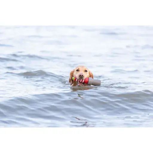 juguete-faro-perro-66e2a7c01bf2a_g.webp