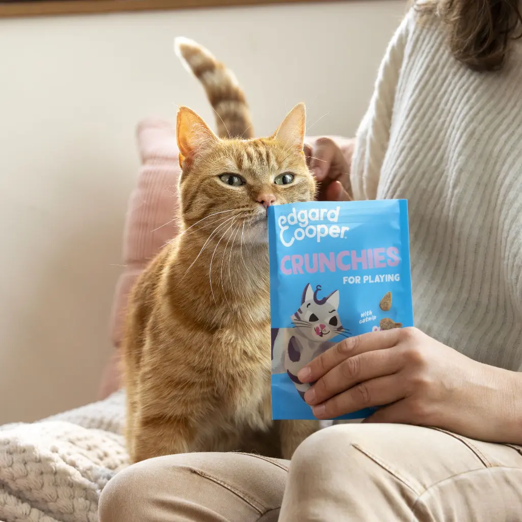 Friandises chat crunchies au saumon (50 g) - Edgard & Cooper