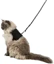 PHO_PRO_CAT_CLIP_41895-3_#SALL_#AWK_#V1.webp