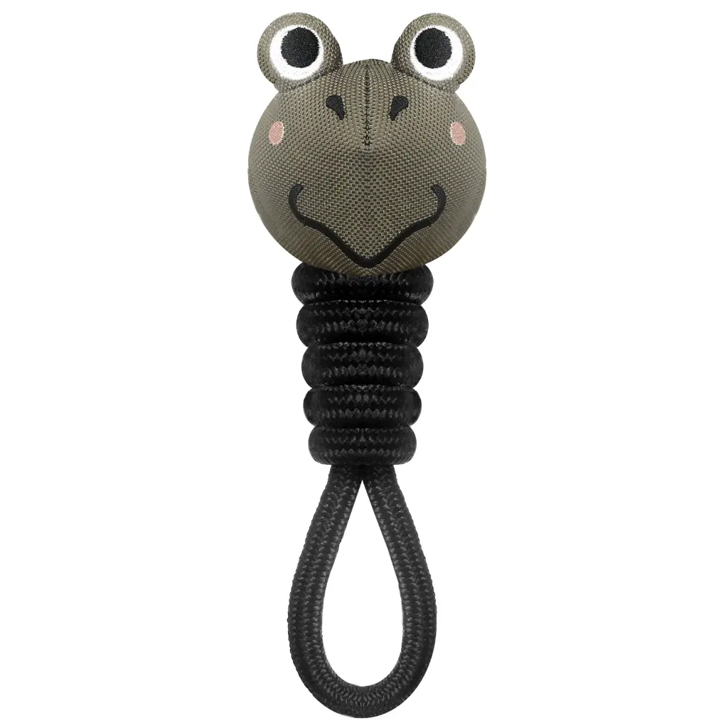 IT0236 - FROG 2.webp