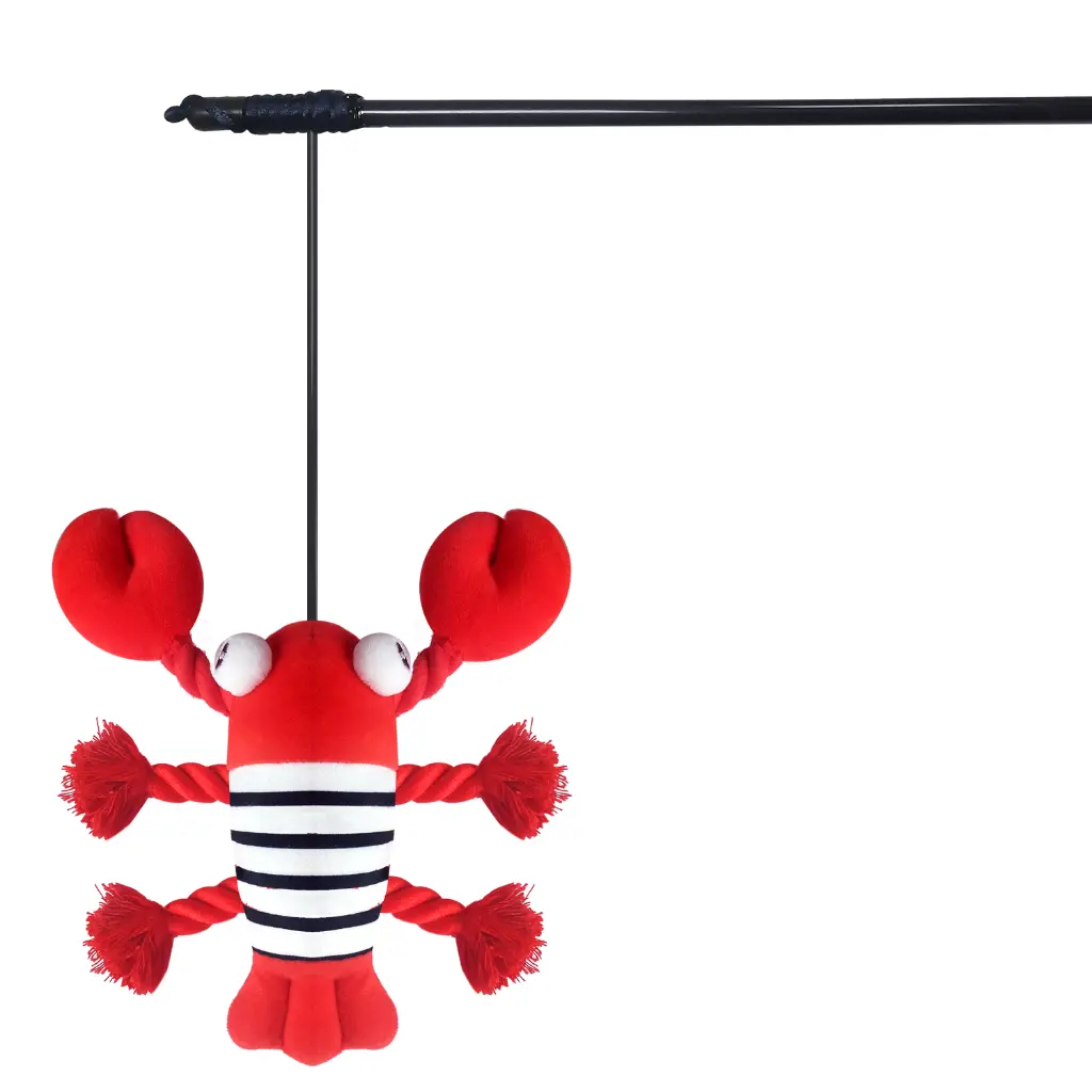 IT0262 - NOLWEN 2.webp