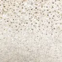 MP2335 - WILMA Zoom.webp