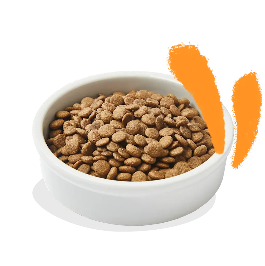 Product_-_Cat_Adult_Kibble_Chicken.webp