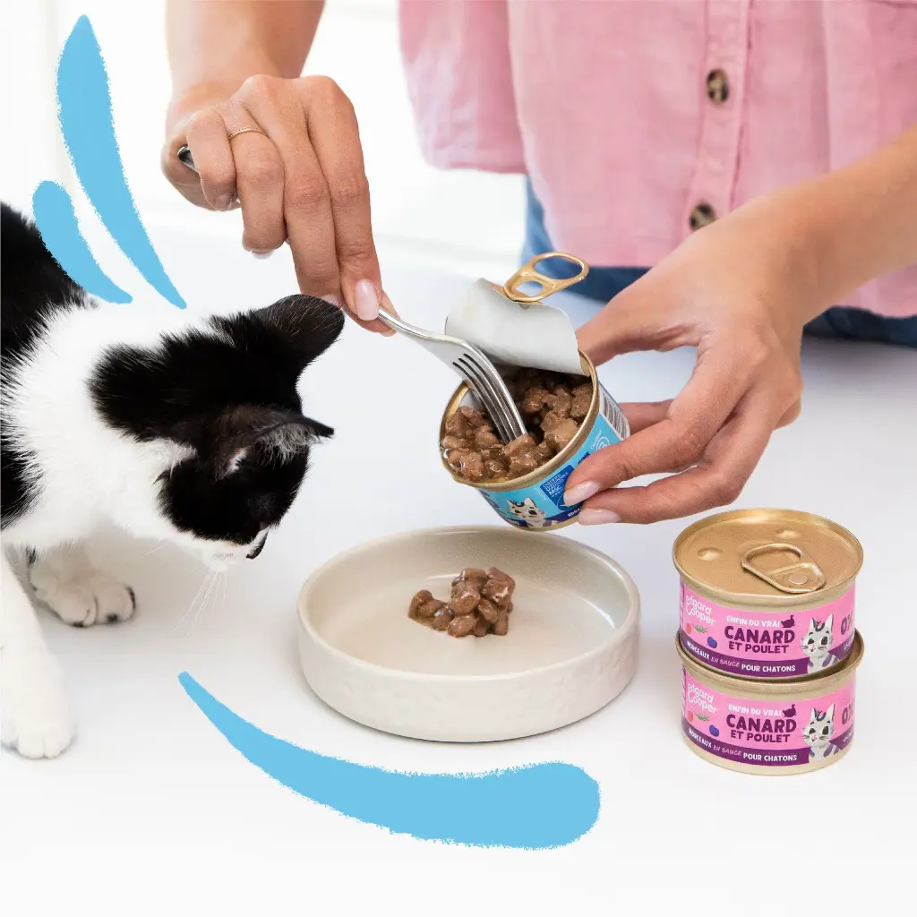 Morceaux en sauce pour chaton au cabillaud et au poulet (85 g) - Edgard & Cooper