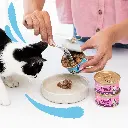 Morceaux en sauce pour chaton au cabillaud et au poulet (85 g) - Edgard & Cooper