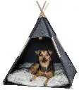PHO_PRO_DOG_CLIP_36278-1_#SALL_#AWK_#V1.webp