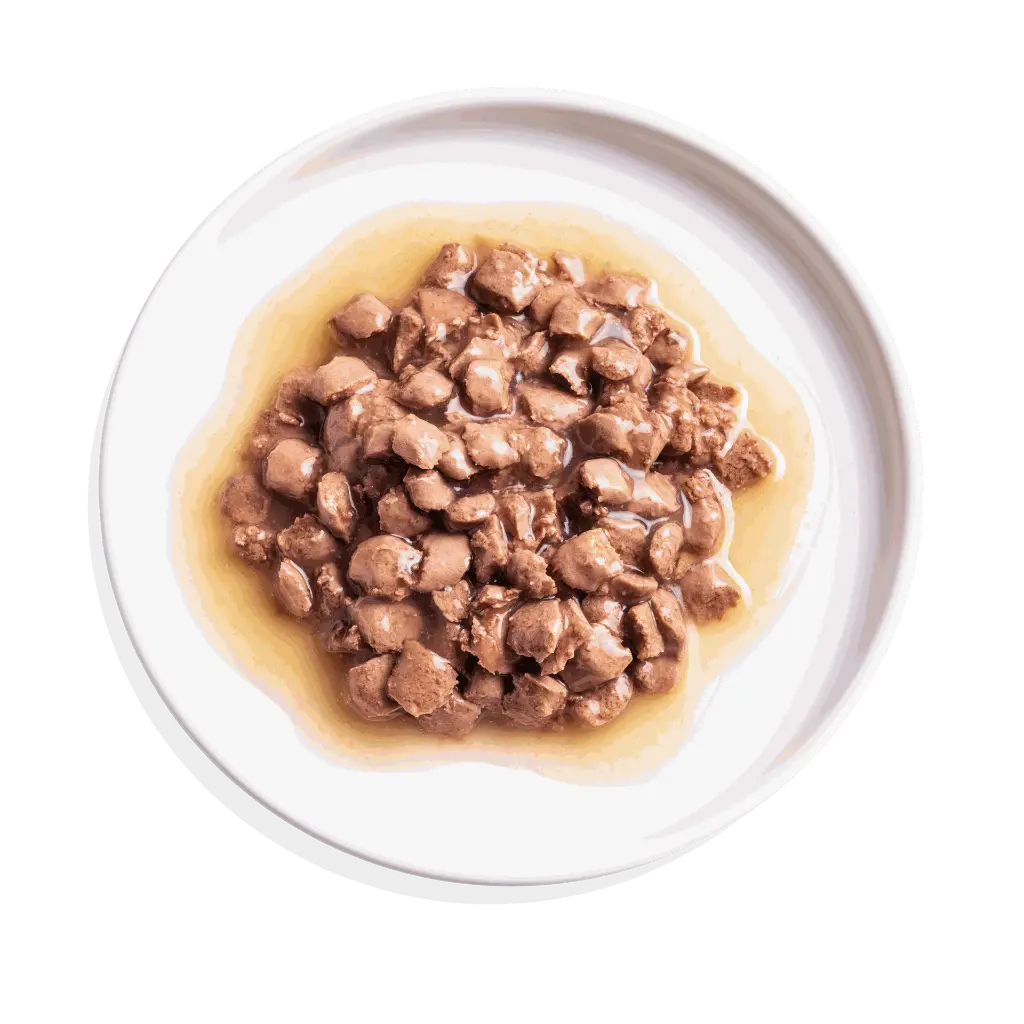 Morceaux en sauce pour chaton au canard et au poulet (85 g) - Edgard & Cooper