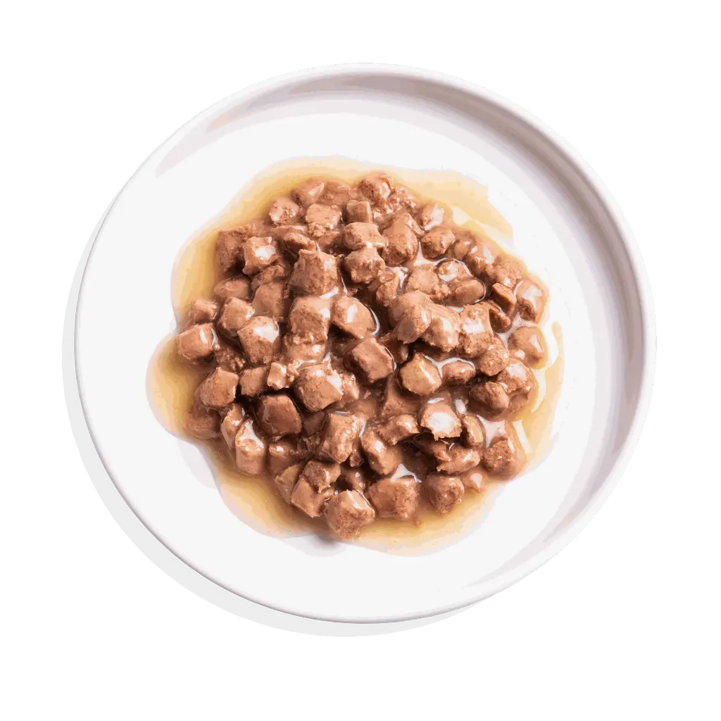 TOP_SHOT_-_CHUNKS_IN_SAUCE_-_LAMB___CHICKEN.webp