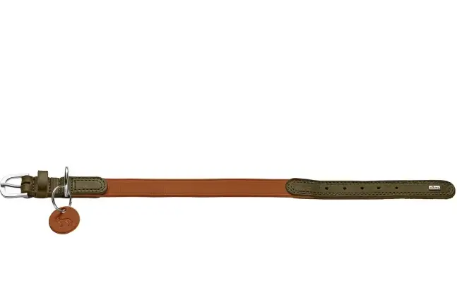 collier.webp