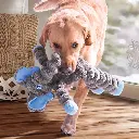524698_S_01.webp