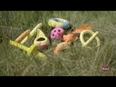 youtube - [Video]