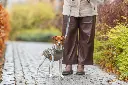 PHO_IMAGE_DOG_JackRussellTerrier-Hugo-Geschirrmantel-Pontis-Rain-Spaziergang-Herbst-1_#SALL_#AWK_#V1.webp