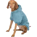 PHO_PRO_DOG_CLIP_680700-680709-1_#SALL_#AWK_#V1.webp