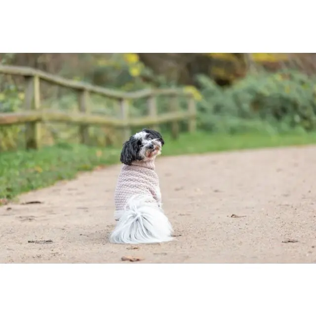 PHO_IMAGE_DOG_BolonkaZwetna-Hannes-Pullover-Norwood-Natur-20_#SALL_#AWK_#V1.webp