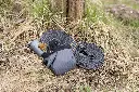 Sifflet en plastique