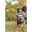 PHO_IMAGE_DOG_Maltipoo-Milo-Grosspudel-Piet-Wintermantel-Riom-Natur-1_#SALL_#AWK_#V1.webp