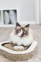 PHO_PRO_CAT_48009-2_#SALL_#AWK_#V1.webp
