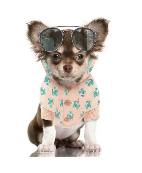 sweat-costa-rica (1).webp