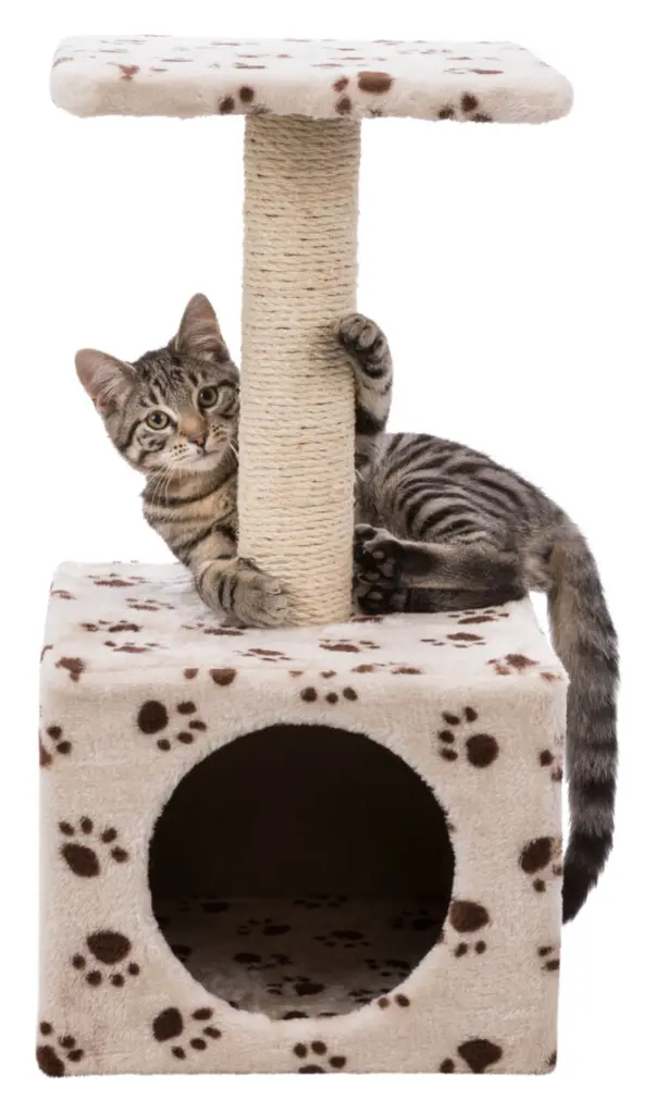 PHO_PRO_CAT_CLIP_43354-2_#SALL_#AWK_#V1.webp