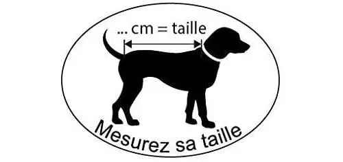 prise-mesure.webp