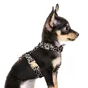 MP4345 - KENYA - Slings 3.webp
