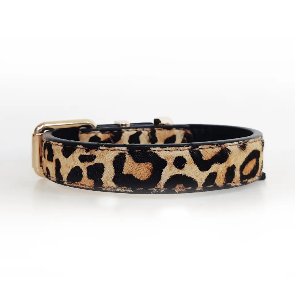 Leopard - Collar 2.webp