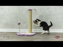 youtube - [Video]