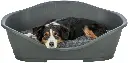 PHO_PRO_DOG_CLIP_38851-38955-1_#SALL_#AWK_#V1.webp