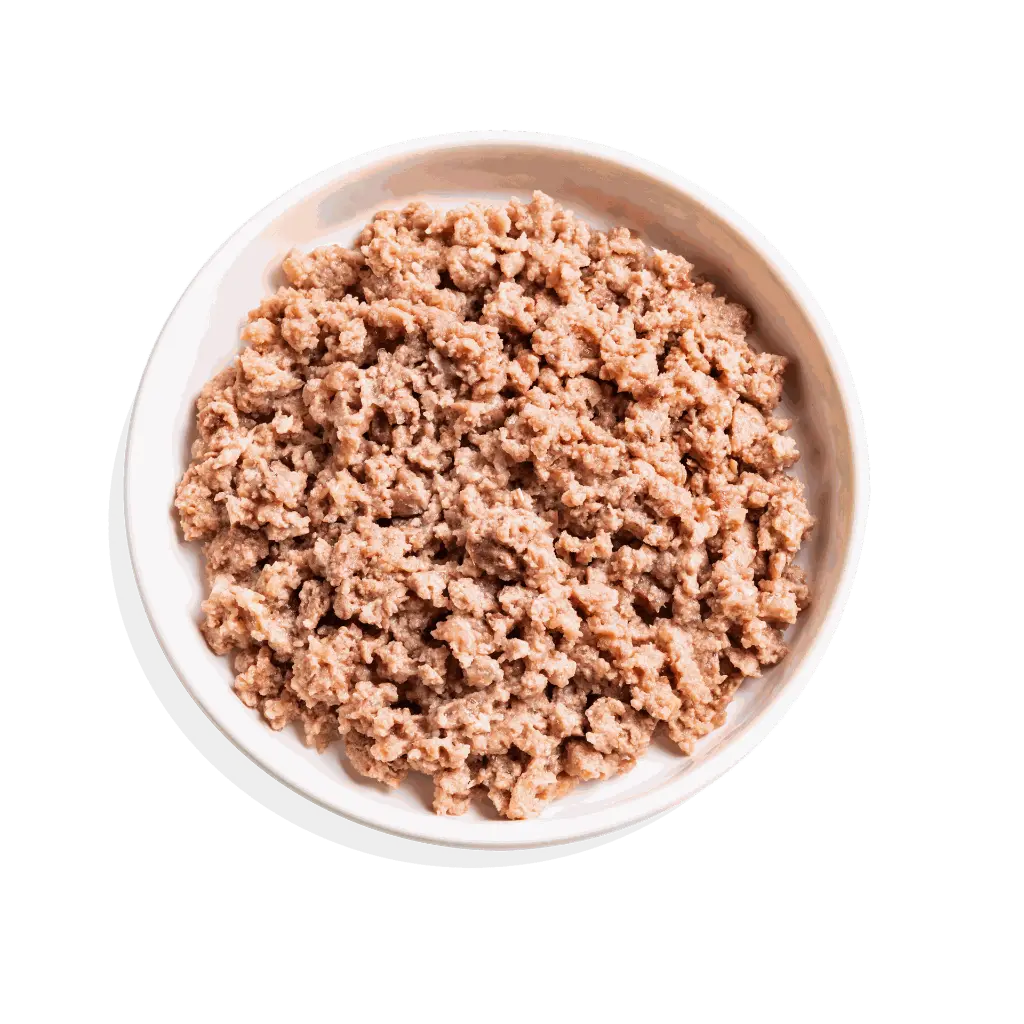 Pâté moelleuse pour chat au saumon et au poulet bio (85 g) - Edgard & Cooper