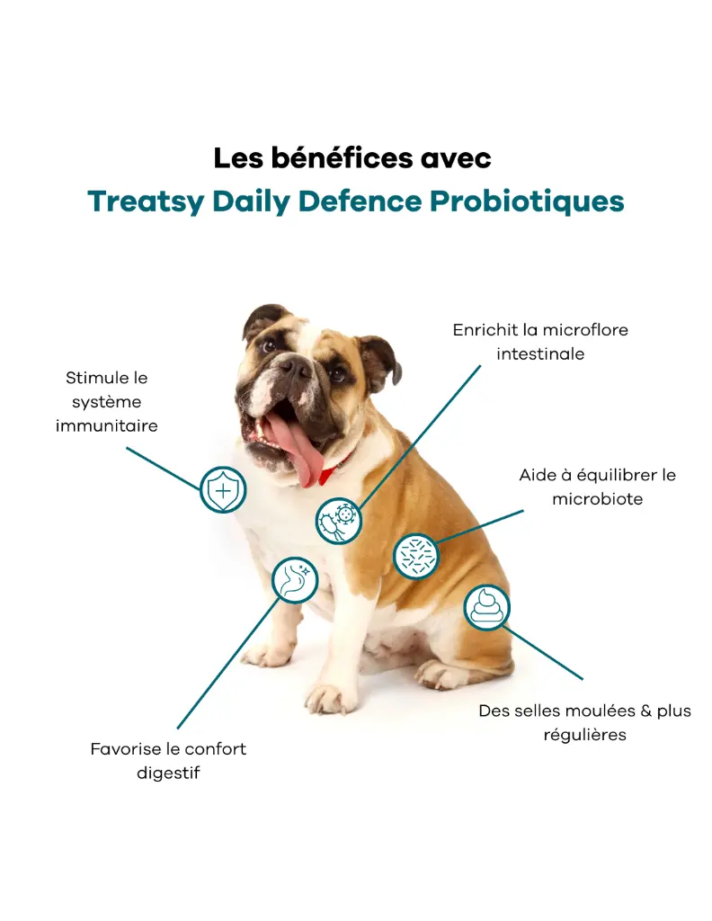 treatsy-daily-defence-probiotiques-pour-chien-30-bouchees (2).webp