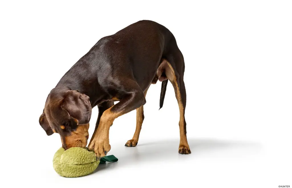 spielzeug-spielen-4099902070774-hornung-baushop3_1920x1920.webp