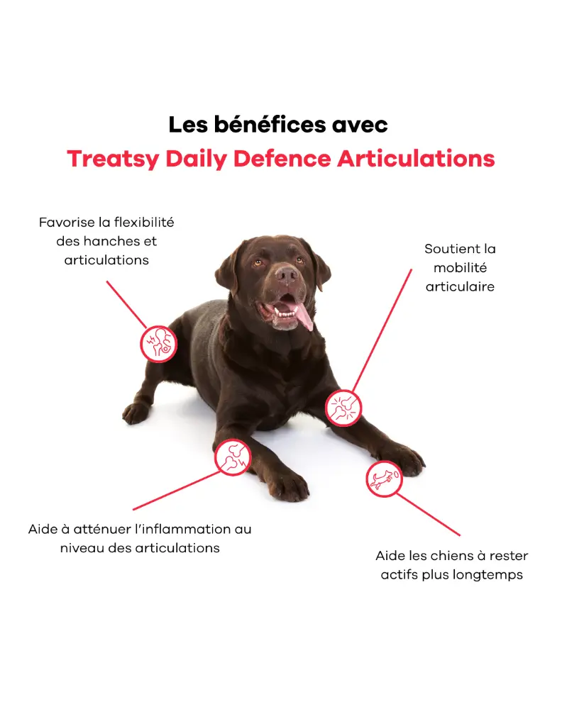 treatsy-daily-defence-articulations-pour-chien-30-bouchees (3).webp