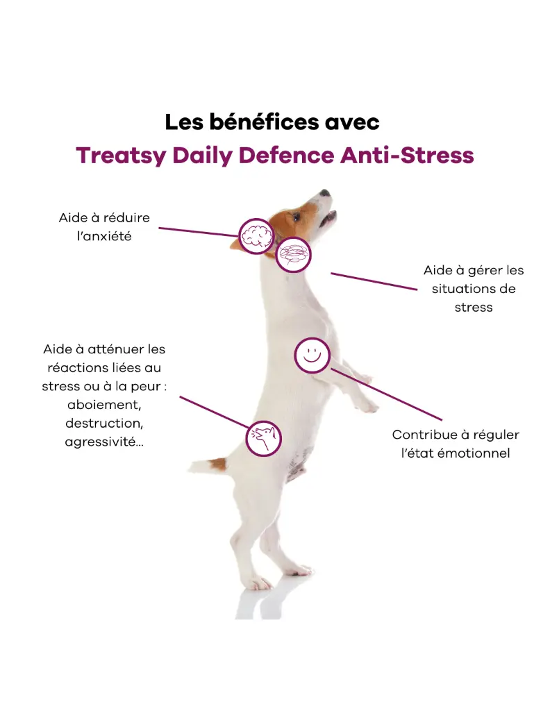 treatsy-daily-defence-anti-stress-pour-chien-30-bouchees (4).webp