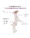 treatsy-daily-defence-anti-stress-pour-chien-30-bouchees (4).webp