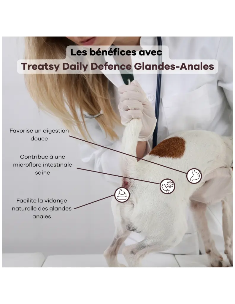 treatsy-daily-defence-glandes-anales-pour-chien-30-bouchees (4).webp
