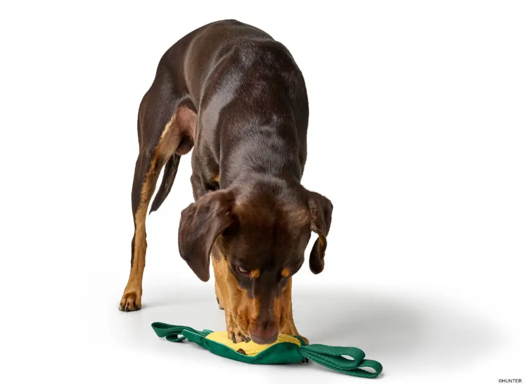 spielzeug-spielen-4099902070835-hornung-baushop3_1920x1920.webp
