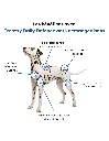 treatsy-daily-defence-demangeaisons-pour-chien-30-bouchees (3).webp